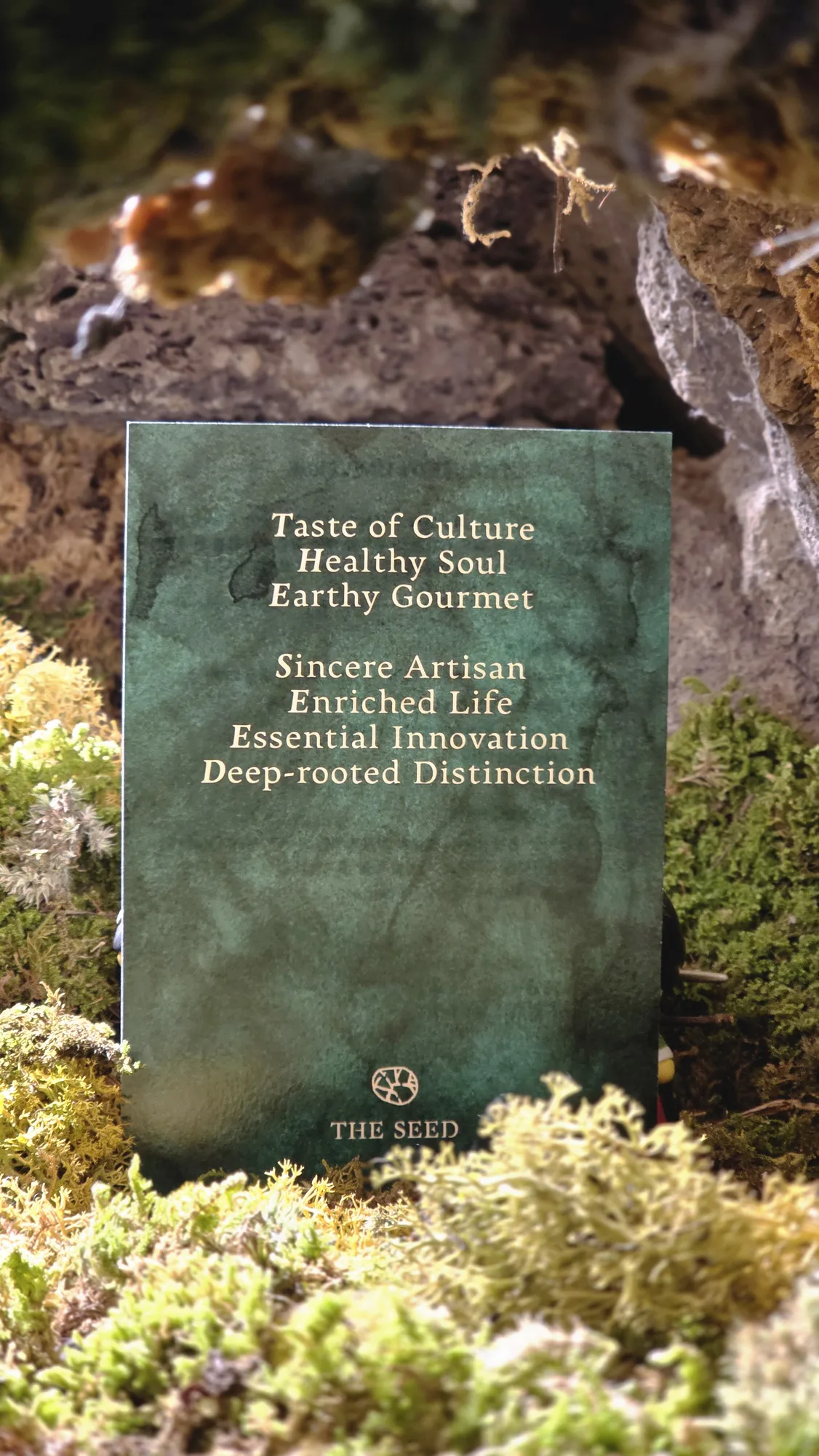 THE SEED brand card on moss